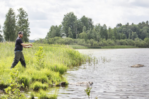 En man med skägg och keps fiskar från en gräsbevuxen strandkant vid en sjö, med en skog i bakgrunden. Han håller ett fiskespö utsträckt över vattnet.