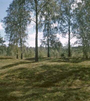 Bild1