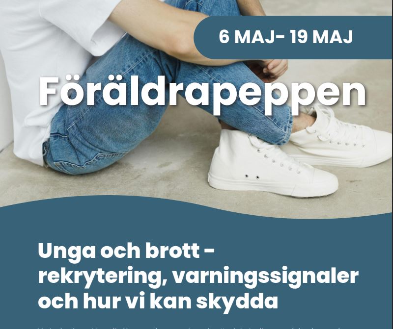 Skärmklipp