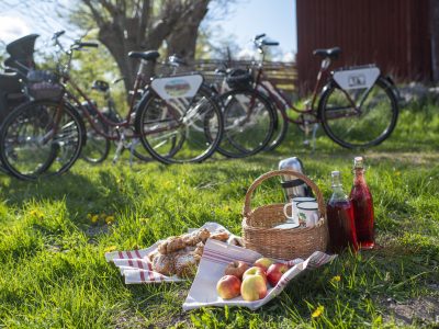 En picknickkorg, äpplen och bullar ligger på en filt på en gräsmatta i Vimmerby, med flera cyklar parkerade i bakgrunden.