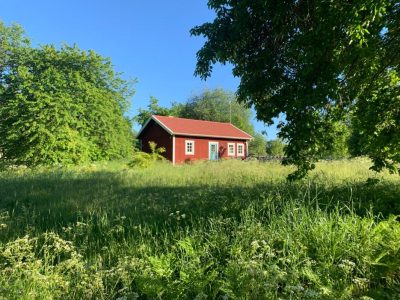 En traditionell svensk röd stuga med vita knutar och ett rött tak, ligger inbäddad bland högt gräs och grönskande träd.
