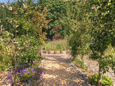 En grusgång leder genom en trädgård med blommande växter och unga träd. I bakgrunden syns en upphöjd rabatt med träkanter och mer grönska.
