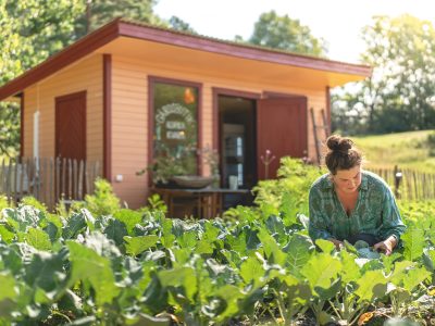 En kvinna i grön skjorta arbetar i en grönsaksodling, hukandes bland frodiga kålblad. I bakgrunden syns en liten orange gårdsbutik med öppen dörr och en stege lutad mot väggen.
