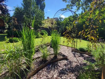 En vacker trädgård med en grusgång kantad av höga gräs och andra växter, med en metallpergola och lummiga träd i bakgrunden.